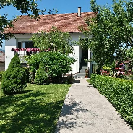 Guesthouse Pavlicic Dreznik Grad Exterior photo