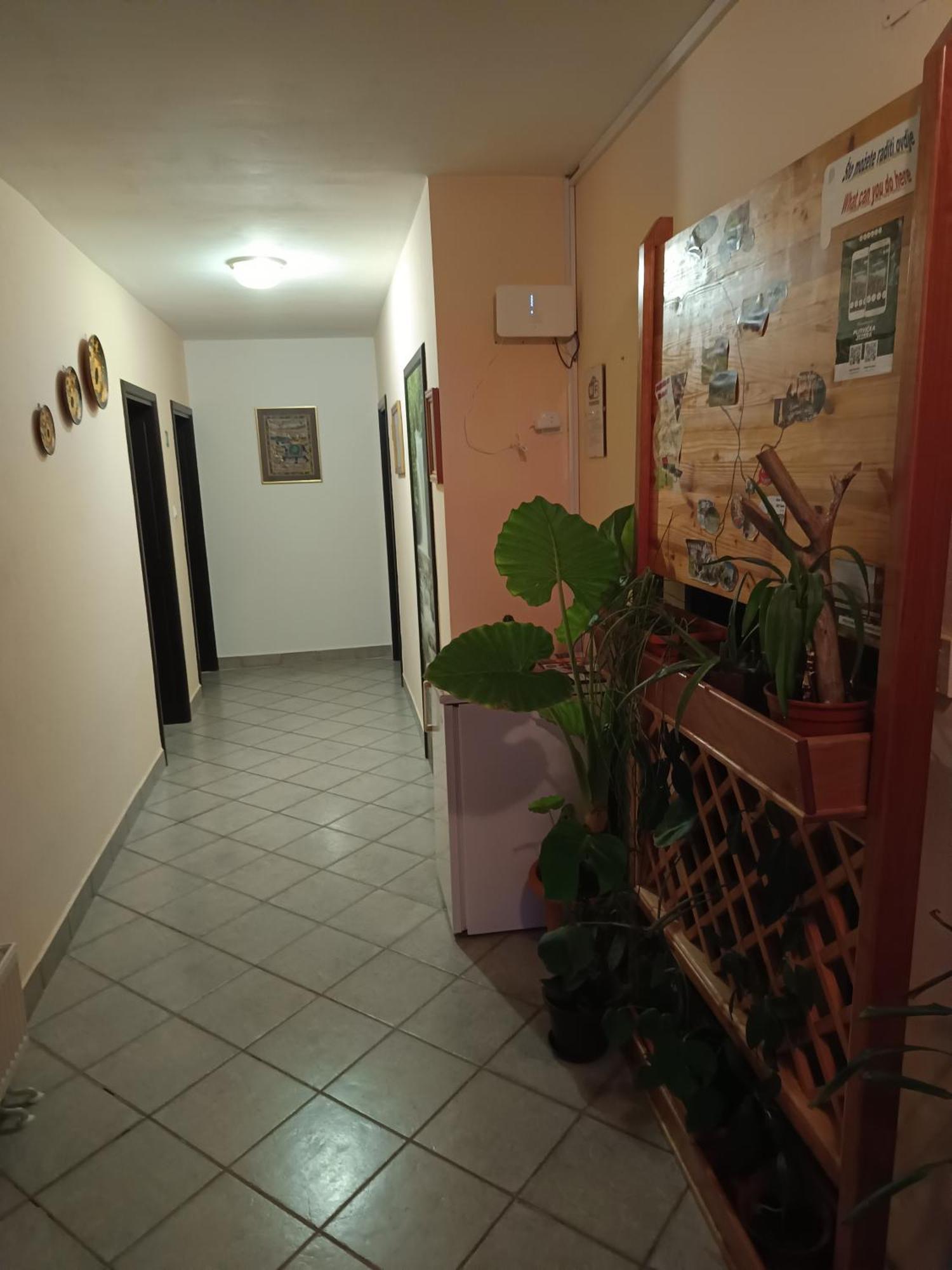 Guesthouse Pavlicic Dreznik Grad Exterior photo